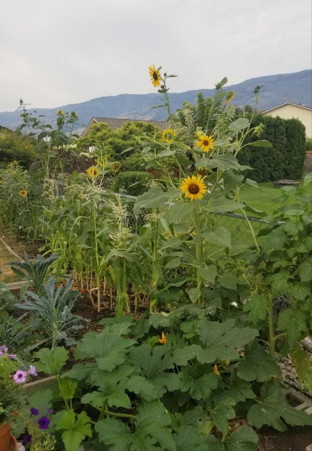 Global Village Permaculture Bnb Oliver Bagian luar foto